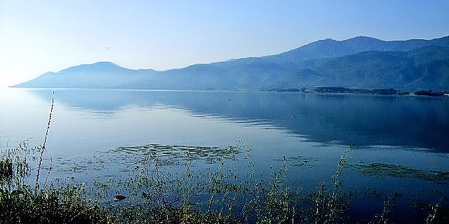 ケルキニ湖 （北ギリシャ）　Kerkini, Greece　2008/05/28　Photo by Kohyuh