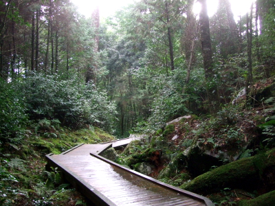 森林浴歩道 Forest Trail　2012/02/29　Photo by Kohyuh