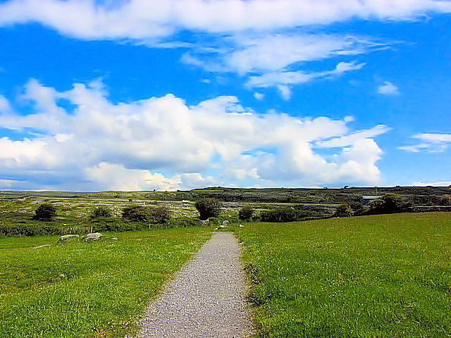 バレン高原　アイルランド　The Burren, Ireland　2009/06/06　Photo by Kohyuh