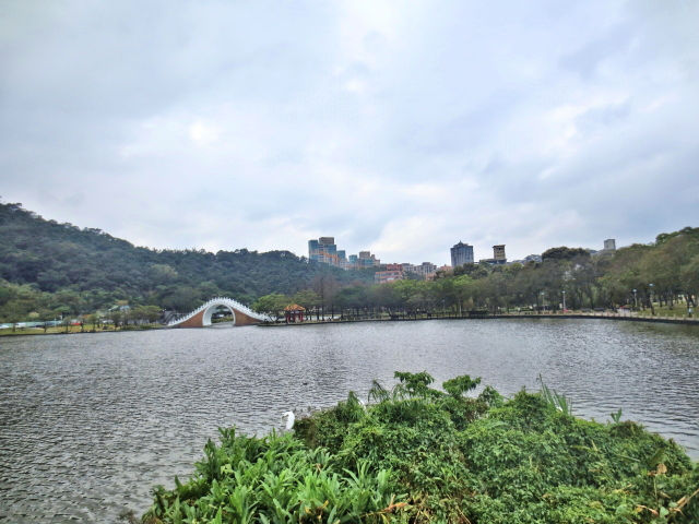 大湖公園 （６景-4）　台北　台湾　Dahu Park, Taipei, Taiwan　2015/01/28　Photo by Kohyuh