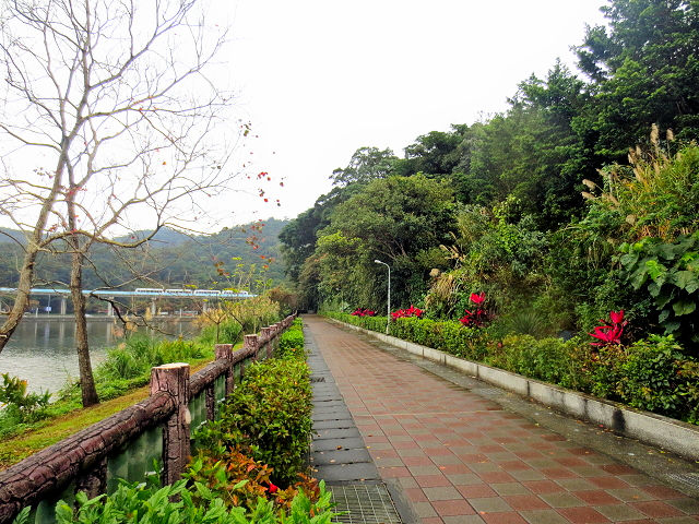 大湖公園 （６景-6）　台北　台湾　Dahu Park, Taipei, Taiwan　2015/01/28　Photo by Kohyuh