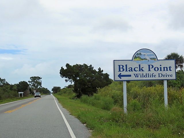 photo1　ブラック・ポイント・ドライブ　Black Point Wildlife Drive