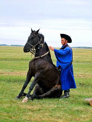 馬を座らせる技 Hortobagy, Hungary Photo by Kohyuh 2007/05/29 馬を座らせる技 Hortobagy, Hungary Photo by Kohyuh 2007/05/29