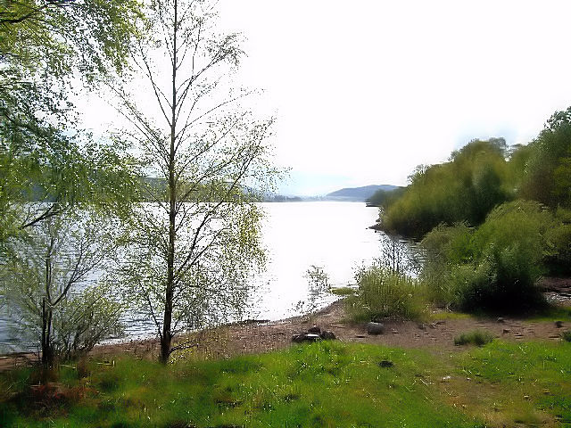 タンメル湖　クイーンズ・ビュー近郊　Loch Tummel near by Queen's view　2009/05/19 Photo by Kohyuh