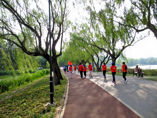 朝陽公園　北京　中国　2016/05/20　Photo by Kohyuh